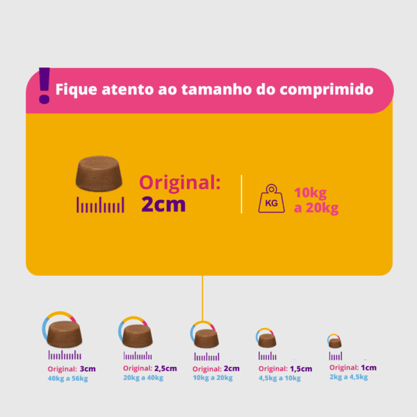 Bravecto Comprimido Antipulga e Carrapato Cão 10 a 20 Kg - Image 6
