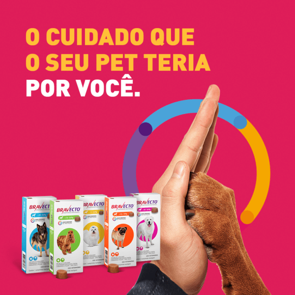 Bravecto Comprimido Antipulga e Carrapato Cão 10 a 20 Kg - Image 9